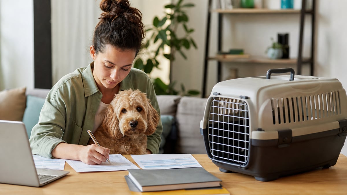 Bringing Your Pet Abroad: Start Earlier Than You Think